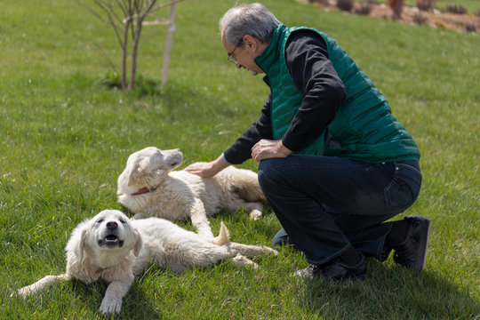 Akbas genus herd dog and a man caressing them