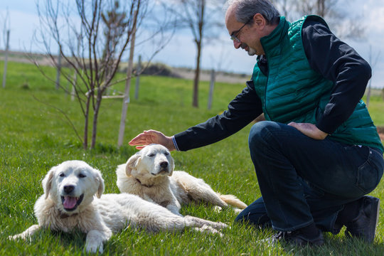 Akbas genus herd dog and a man caressing them