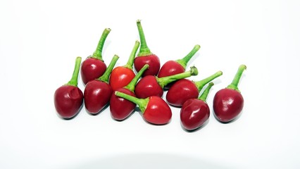 red ornamental pepper on white background