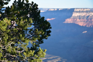 Grand Canyon Sunrise