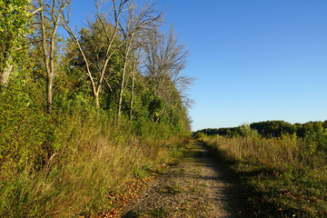 Obraz premium autumn