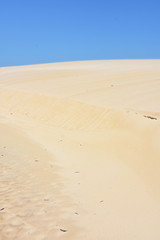Wind made pattern of waves and ripples in a sand dune with blue sky above