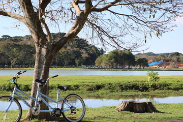Fototapeta na wymiar Bike árvores water 