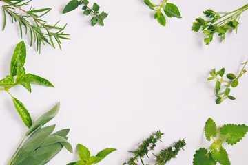 Wall murals Aromatic Fresh spicy and medicinal herbs on white background. Border from various herb - rosemary, oregano, sage, marjoram, basil, thyme, mint. Food frame for recipe