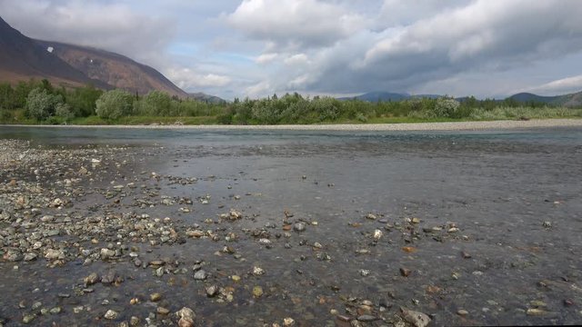 Cloudy August day on the river Sob. Polar Urals, Russia