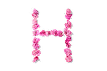 Dry triangle plum blossom into letters H