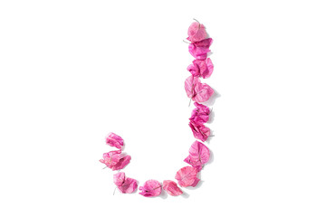 Dry triangle plum blossom into letters J