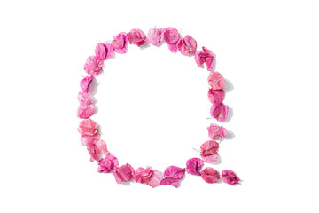 Dry triangle plum blossom into letters Q