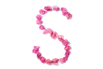 Dry triangle plum blossom into letters S