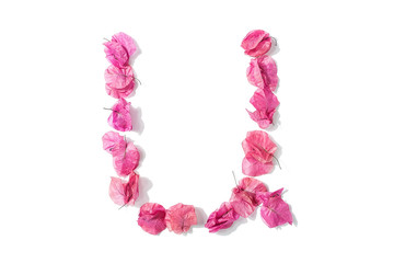 Dry triangle plum blossom into letters U