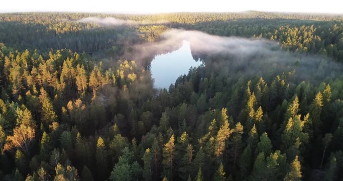 Aerial footage video of foggy morning. Flying over forest and the lake. Sunrise time.