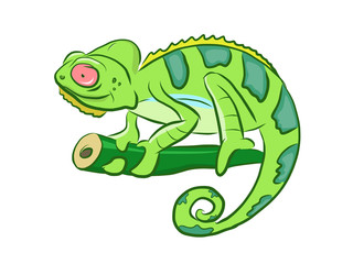 Colorful Chameleon Cartoon Clipart