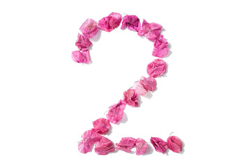 Dry triangle plum blossom into digital 2