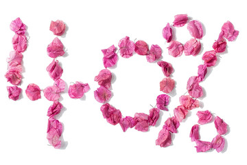 The number of bougainvillea is 40% discount promotion poster