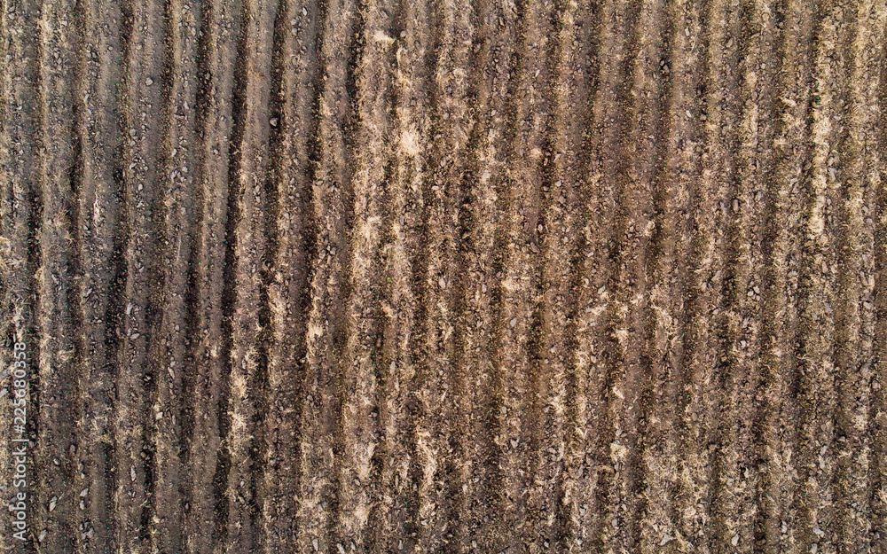 Wall mural furrow soil in plowed field prepared for farming