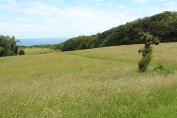 Obraz premium Northern France