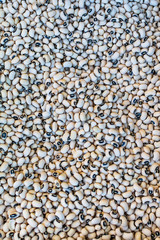 Group beans like vegetarian food.