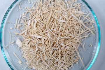 Experiment of waste fermentation in laboratories.