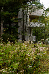 Autumn Woods - Abandoned Unity House Resort - Pocono Mountains, Pennsylvania