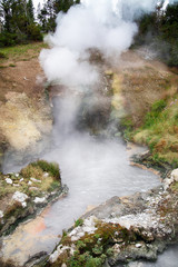 Dragon’s Mouth Spring in Yellowstone National park's Mud Volcano Area, wyoming, usa