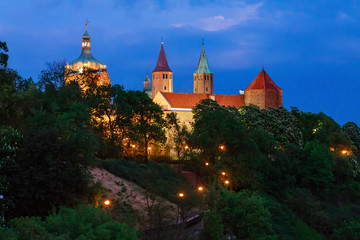 Fototapeta na wymiar Płock- Katedra