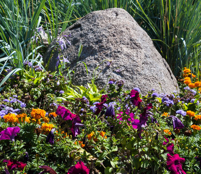 Fototapeta Flowerbed with big gray stone