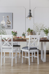 White chairs at wooden table in cottage dining room interior with flowers and poster. Real photo