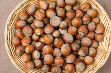 Hazelnut in peel on a light burlap.