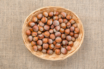 Hazelnut in peel on a light burlap.