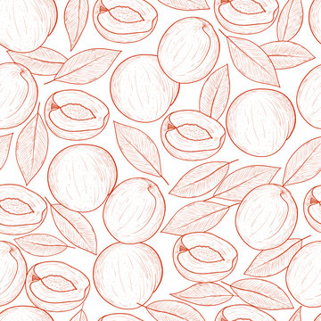 Peach. Fruit and leaves. Sketch. Monochrome. Background, wallpap