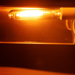 high pressure sodium lamp HPS orange light