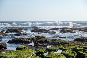 Wave crashing on seaweed stone
