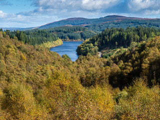 Naklejka premium Autumn at Loch Drunkie