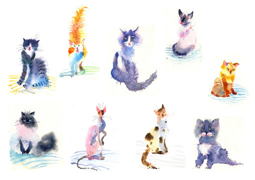 Watercolor cats and cats set