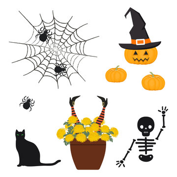Halloween Decorations. Set of Halloween icons. There is a spider web, a pot with chrysanthemums and decorative witch's feet, a pumpkin in a witch hat, a skeleton and black cat in the picture. Vector 