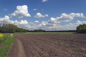 Fototapeta na wymiar arable land under fluffly clouds