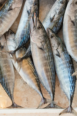 Frozen Sea fish on public market in Greece