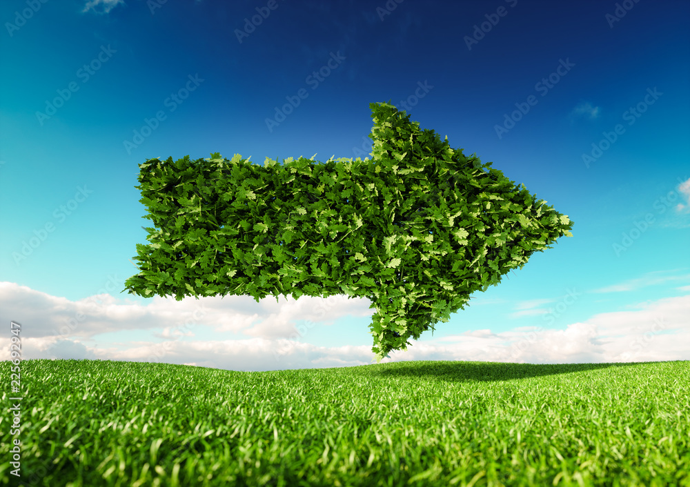 Wall mural eco friendly development concept. 3d rendering of single arrow icon on fresh spring meadow with blue