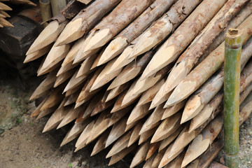 Closeup of a pile of sharp wooden poles for construction work. 