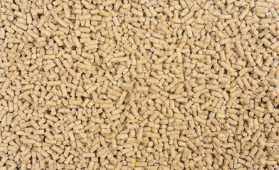 close up of feed for hen