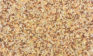 close up of a texture multigrain