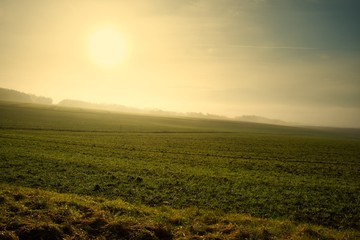 Landschaft und Saat im Morgennebel