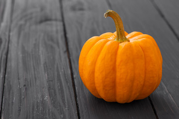 yellow pumpkin fancy on wood

