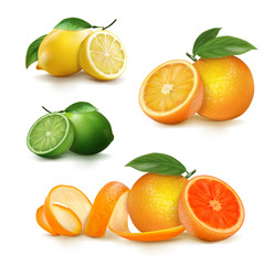 Fresh citrus fruits whole and halves. vector illustration