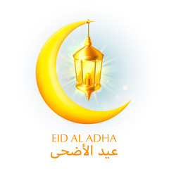 Eid al adha cover, mubarak background, template design element, Vector illustration