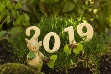 2019 Schriftzug mit Glücksschwein mit Kleeblatt vor Hintergrund aus Moos und Klee