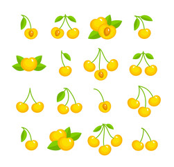 Colorful vector illustration of white cherry with stem & leaves. Flat icon set of organic fresh berry. Vegan & vegetarian food. Health eating fruit ingredients. Isolated on white background.