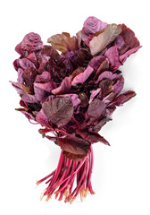  Red Spinach isolated on white