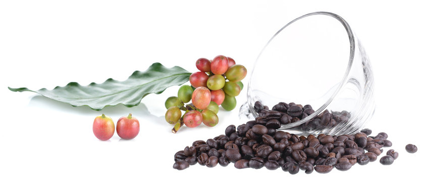 Coffee beans isolated on white background.