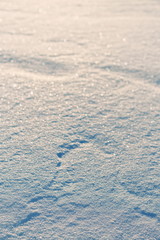 abstract natural background of fresh snow texture in blue tone